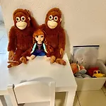 Luxuryorion,nahe Europapark & Rulantica,netflix,disney,kartinatv דירה