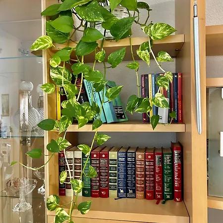 Luxuryorion,nahe Europapark & Rulantica,netflix,disney,kartinatv * Мальберг